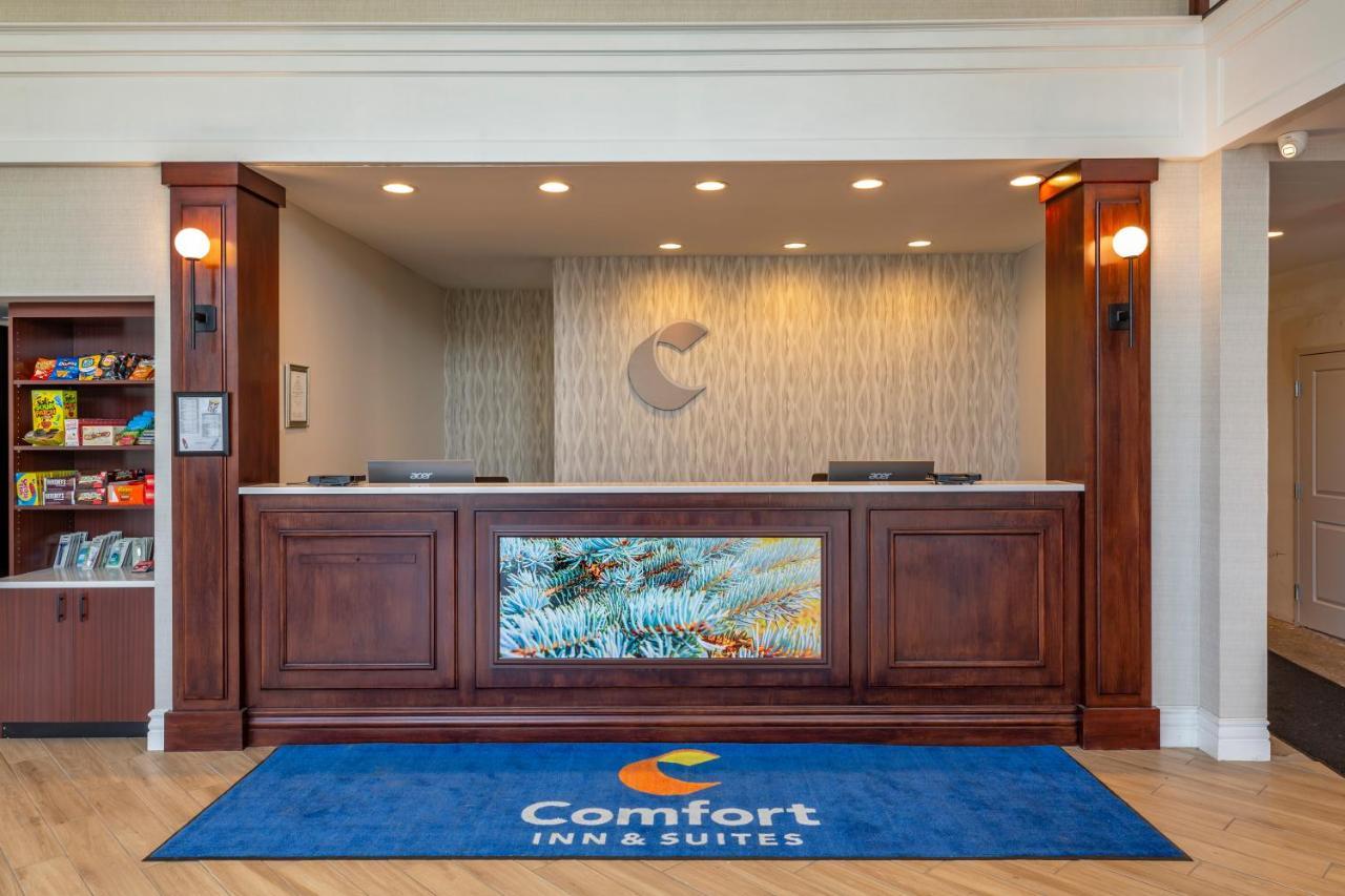 Comfort Inn & Suites East Greenbush - Albany Buitenkant foto